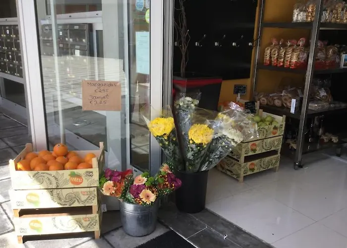 Azores Nature Holidays Apartment